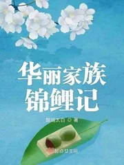 《华丽家族锦鲤记》小说封面