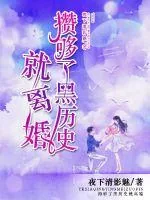 《攒够了黑历史就离婚》小说封面
