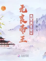 《无良帝王的追妻之旅》小说封面