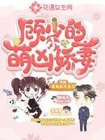 《顾少的萌凶小娇妻》小说封面