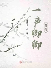 《一声卿卿前传》小说封面