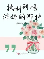 《搞科研吗催婚的那种》小说封面