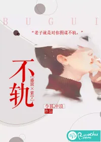 《不轨》小说封面
