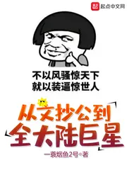 《从文抄公到全大陆巨星》小说封面