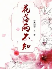 《花落两不知》小说封面