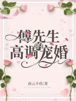 《傅先生的高调宠婚》小说封面
