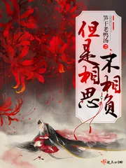 《但是相思不相负》小说封面