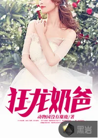 《狂龙奶爸》小说封面