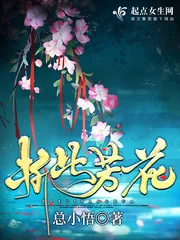 《折此芳花》小说封面