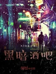《黑暗酒吧》小说封面