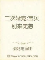 《二次婚宠:宝贝别来无恙》小说封面