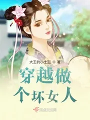 《穿越做个坏女人》小说封面