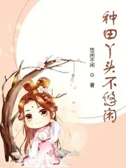 《种田丫头不悠闲》小说封面
