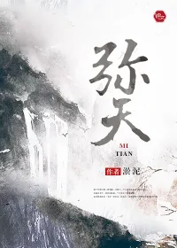 《弥天》小说封面