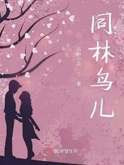 《同林鸟儿》小说封面