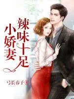 《小娇妻辣味十足》小说封面