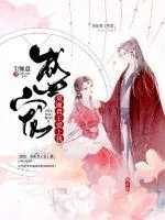《盛宠：双面君王爱上我》小说封面