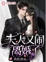 《夫人又闹离婚了》小说封面