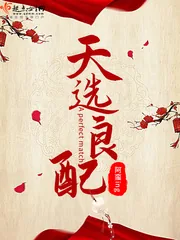 《天选良配》小说封面