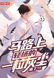 《马路上轻扬的一粒灰尘》小说封面