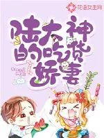 《陆大神的吃货娇妻》小说封面