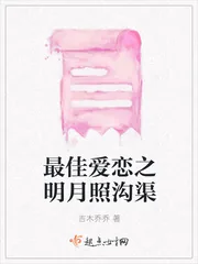 《最佳爱恋之明月照沟渠》小说封面