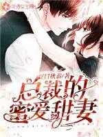 《总裁的蜜爱甜妻》小说封面