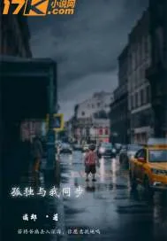 《孤独与我同步》小说封面