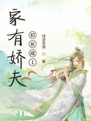 《云少主的掌心宠》小说封面