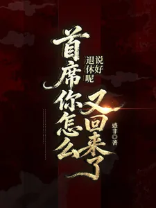 《说好退休呢?执法官你怎么回来了》小说封面