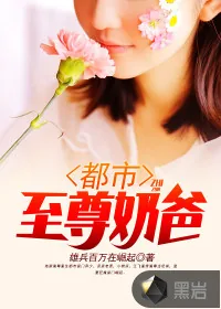 《都市至尊奶爸》小说封面