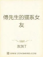 《傅先生的猫系女友》小说封面