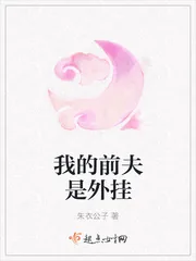 《我的前夫是外挂》小说封面