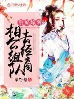 《皇妃嫁到：相公组队去经商》小说封面