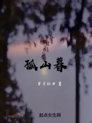 《孤山暮》小说封面