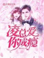 《凌总，爱你成瘾》小说封面