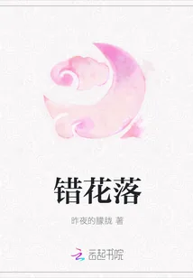 《错花落》小说封面