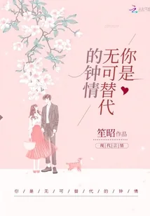 《你是无可替代的钟情》小说封面