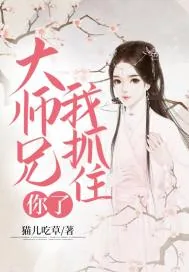 《大师兄我抓住你了》小说封面
