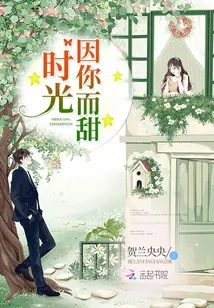 《时光因你而甜》小说封面