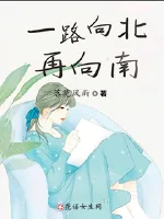 《一路向北再向南》小说封面