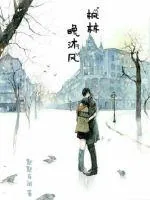 《枫林晚沐风》小说封面