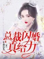 《总裁闪婚真给力》小说封面