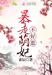 《暴走萌妃不好惹》小说封面