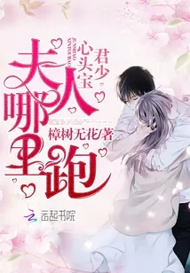 《君少心头宝,夫人哪里跑》小说封面