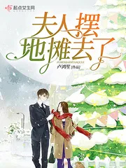 《夫人摆地摊去了》小说封面