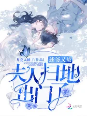 《述爷又被夫人扫地出门了》小说封面