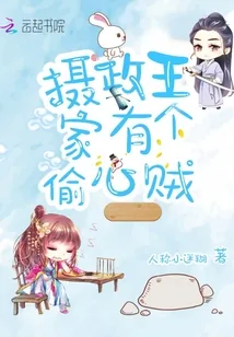 《摄政王家有个偷心贼》小说封面