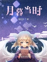 《月暮当时》小说封面