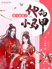 《驸马裹紧了他的小马甲》小说封面